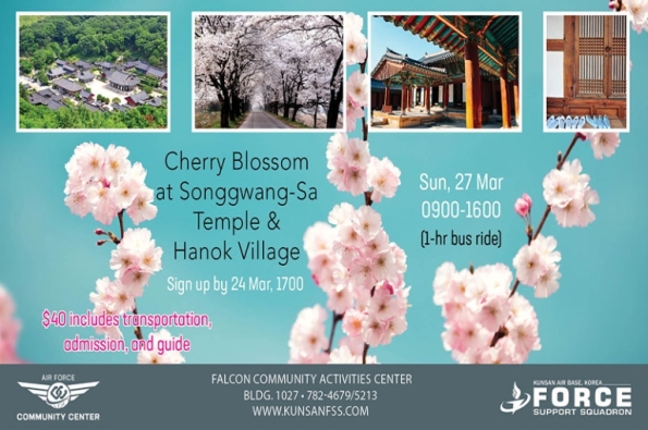 0327-CherryBlossom-Songgwangsa-TV.jpg