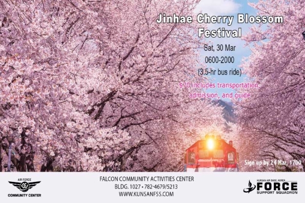 0330-Jinhae-CherryBlossom-TV.jpg