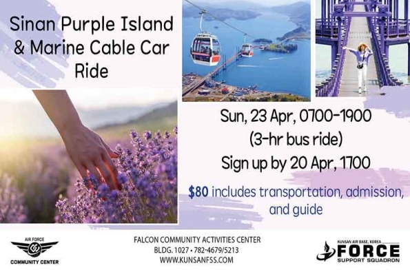 0423-Purple-Island-TV.jpg
